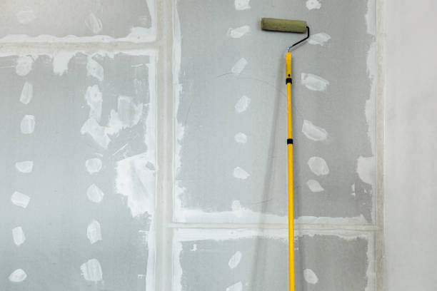 Forensic Mold Investigation in Raymore, MO